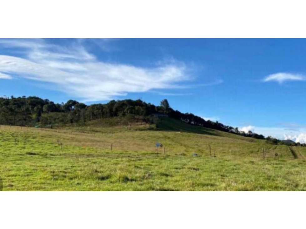 Lote en Venta en Envigado sector Alto de Palmas — foto 3