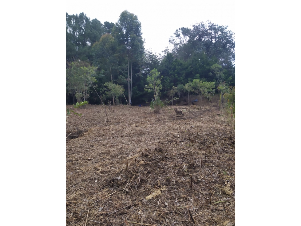 Lote en Venta en Rionegro Vereda Los Pinos reciben permuta — foto 3
