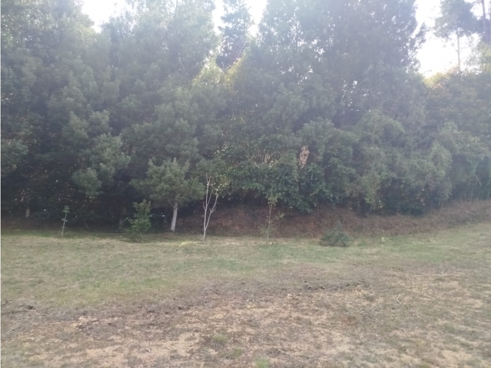 Lote para la venta en el Retiro — foto 2