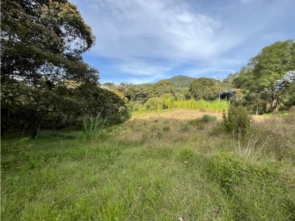 Lote En Venta Sector Don Diego - 2