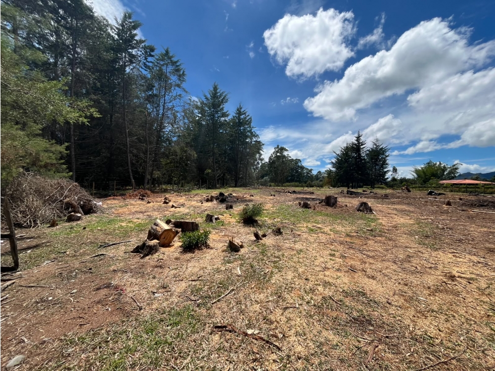 Lote en Venta Sector Llanogrande - 2