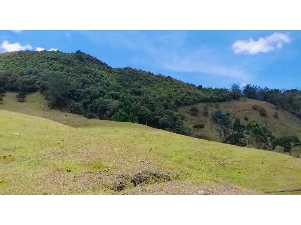 Lote en Venta Rionegro — foto 2