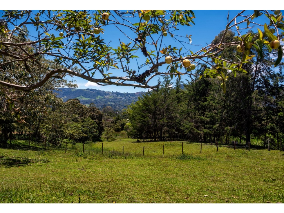 Lote para la Venta en La Ceja Antioquia