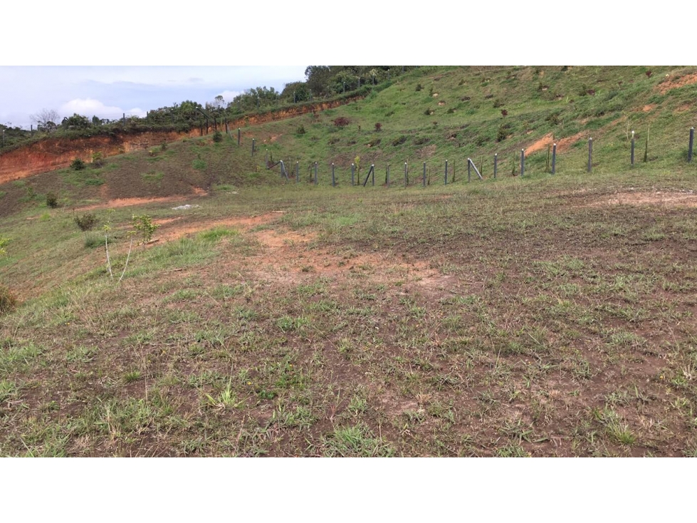 Lote para la Venta en Guarne Antioquia - 4