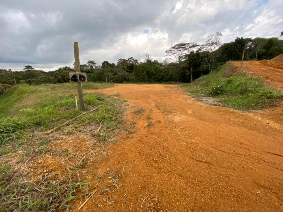 Lote para la Venta en La Ceja Antioquia - 3
