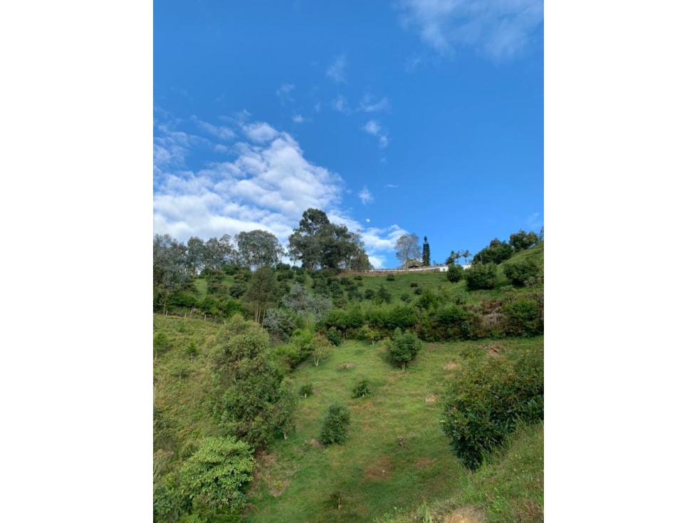 Lote para la Venta en Guarne Antioquia - 3