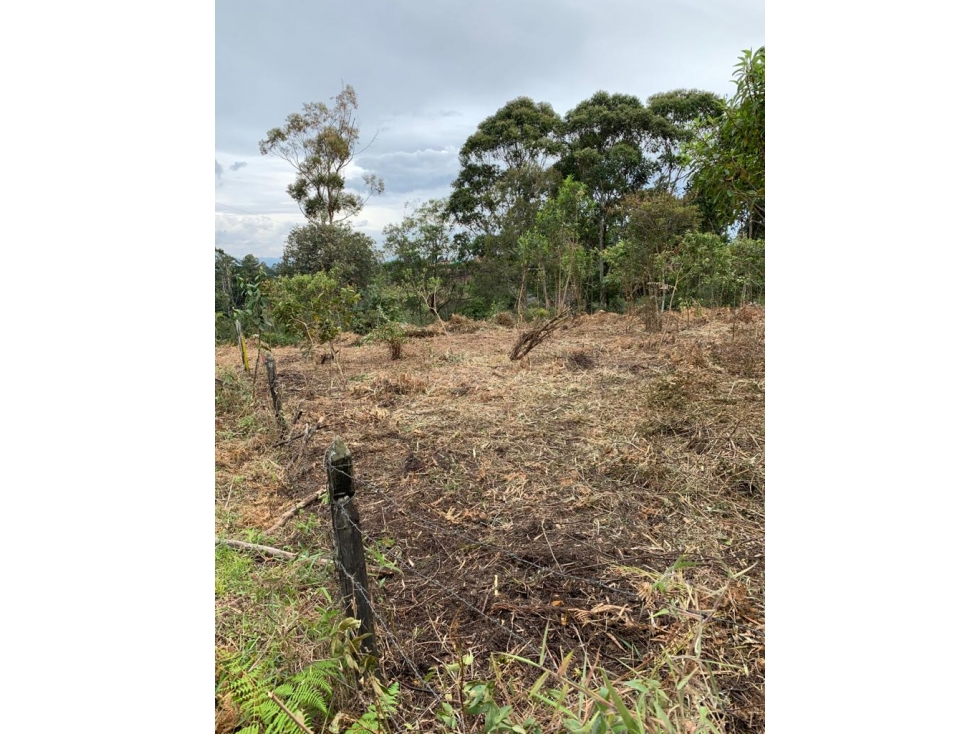 Lote en Venta en Rionegro Vereda Los Pinos reciben permuta — foto 4