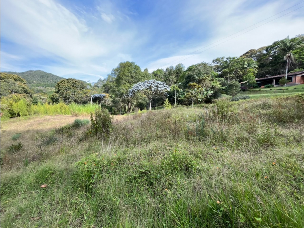 Lote En Venta Sector Don Diego - 3