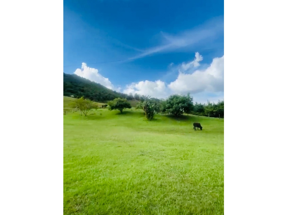 Lote en Venta Rionegro — foto 3
