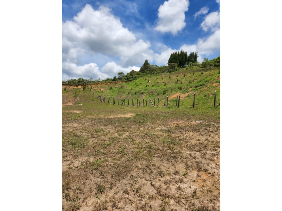 Lote para la Venta en Guarne Antioquia - 6