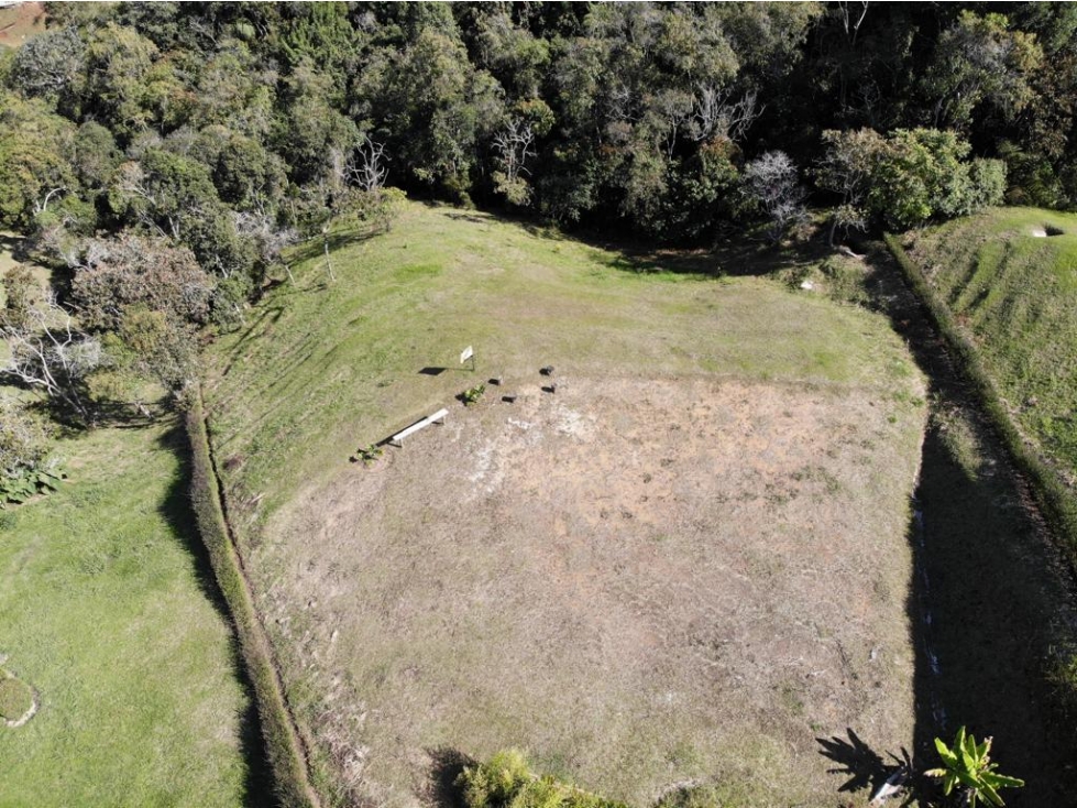 Lote para la Venta en San Antonio de Pereira - 1