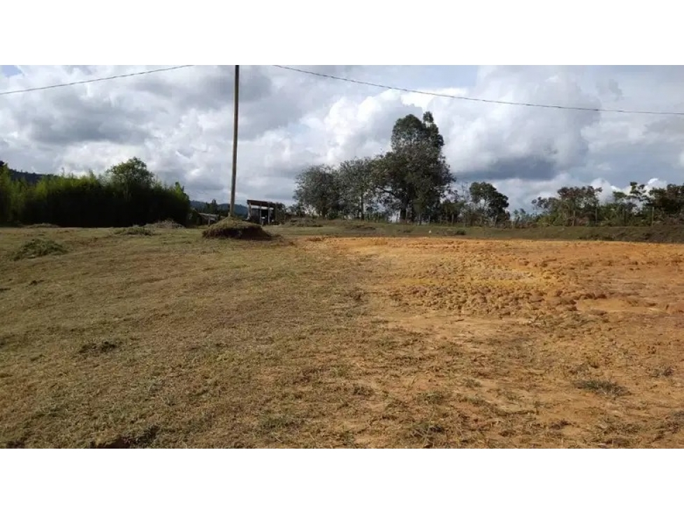 Lote Mixto para la Venta en Rionegro - 3