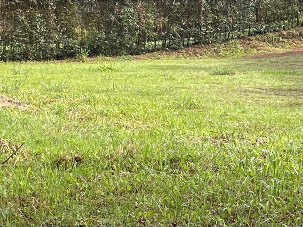Lote en Venta en La Ceja