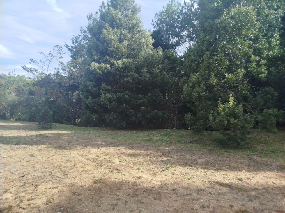 Lote para la venta en el Retiro — foto 4