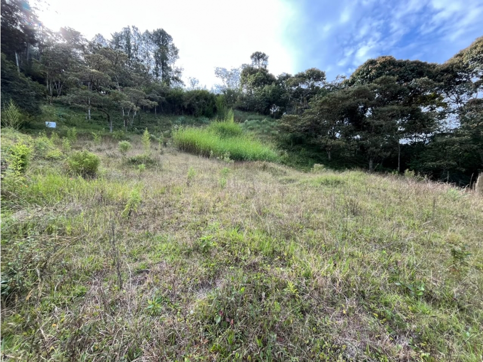 Lote En Venta Sector Don Diego - 4
