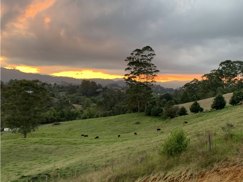Lote para la Venta en Rionegro Sector Capiro - 2