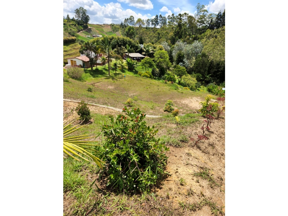 Lote para la Venta en Guarne Antioquia - 2
