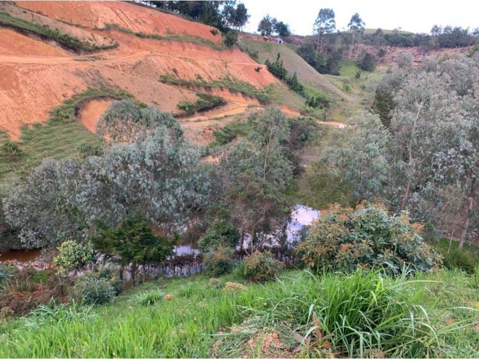 Lote para la Venta en Guarne Antioquia - 5