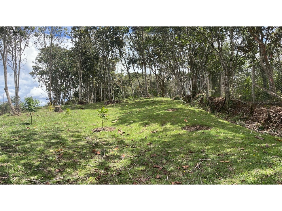 Lote para la Venta en El Retiro Antioquia - 6