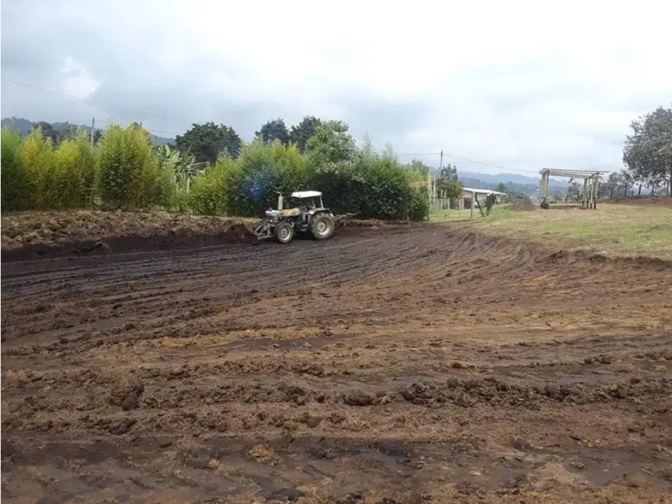 Lote Mixto para la Venta en Rionegro - 1