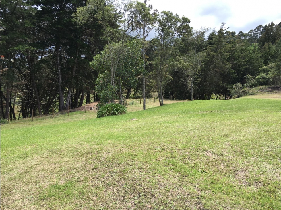 Lote para Venta en Medellín Alto de Palmas — foto 5