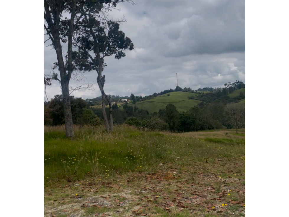 Lote en Venta en Medellín Alto del Palmas — foto 6