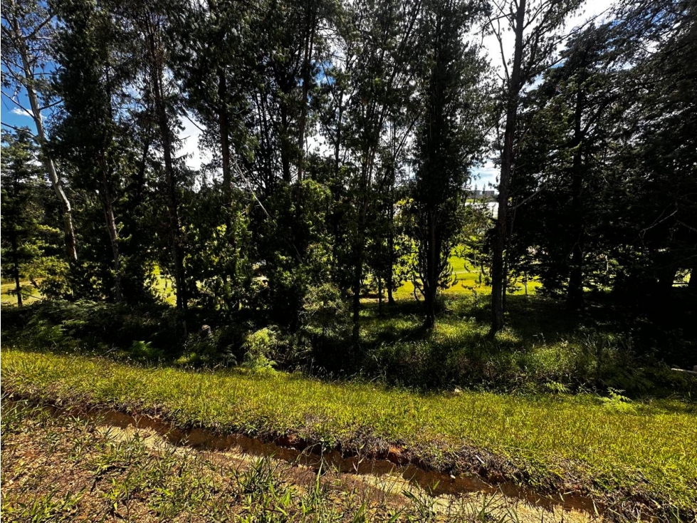 Lote en Venta en Rionegro