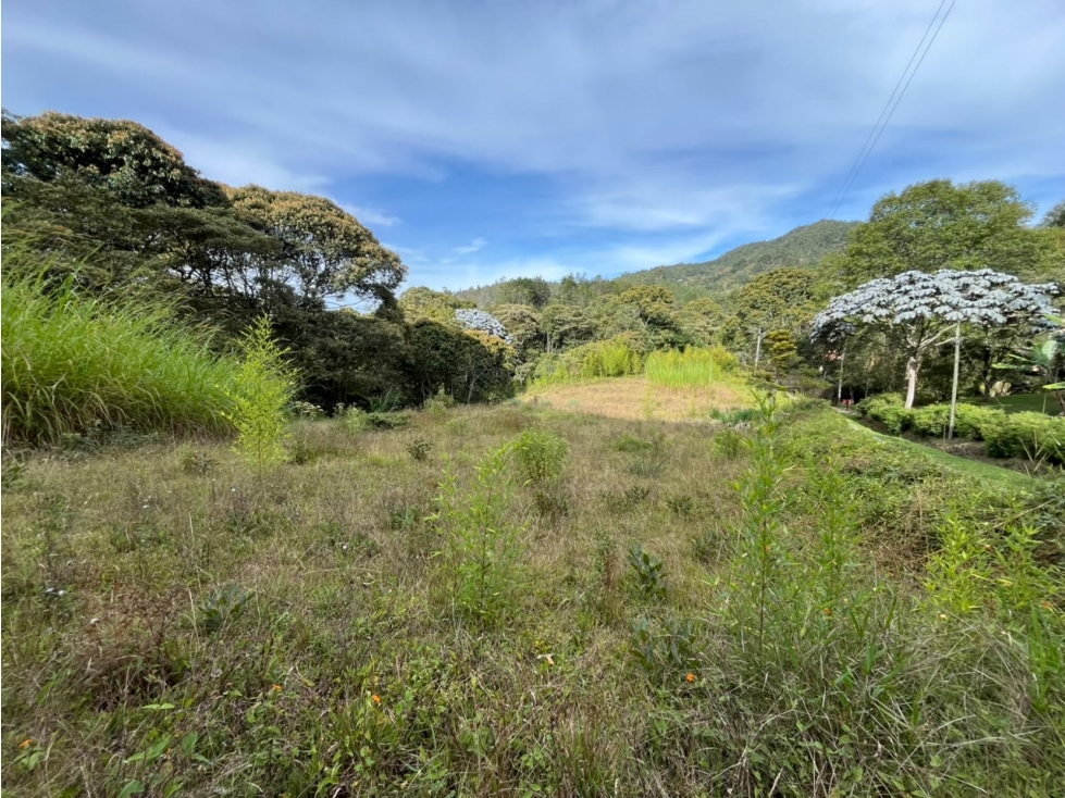 Lote En Venta Sector Don Diego - 5