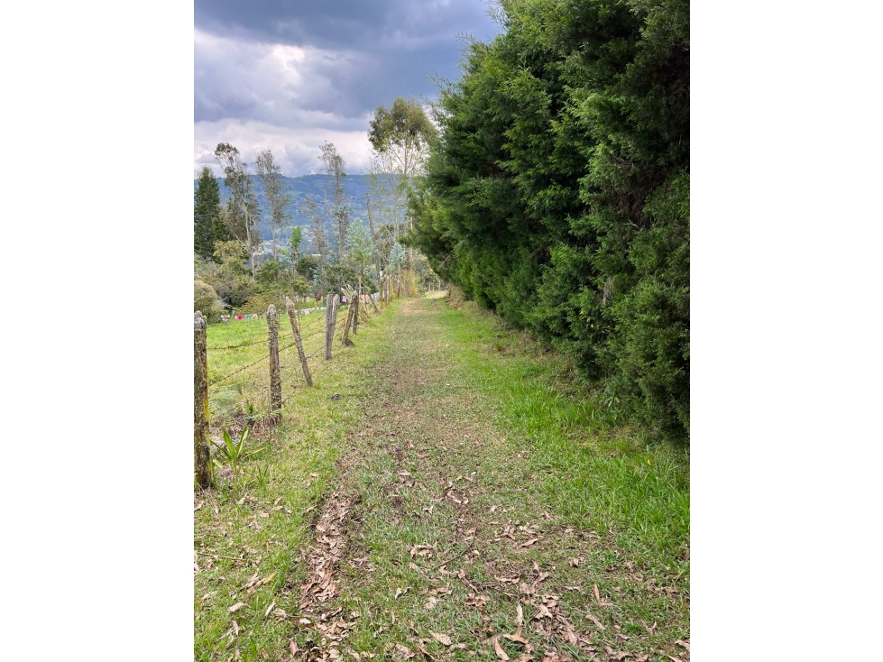 Lote para la Venta en Guarne Antioquia - 3