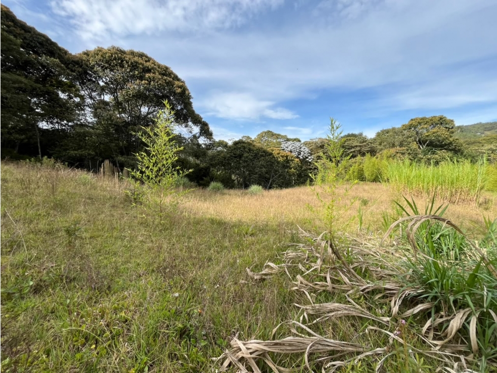 Lote En Venta Sector Don Diego - 6