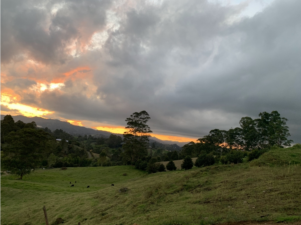 Lote para la Venta en Rionegro Sector Capiro - 3