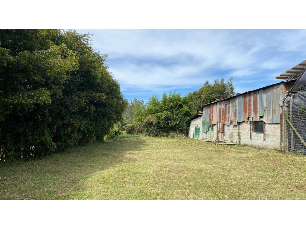 Lote comercial con bodega en Llanogrande — foto 2