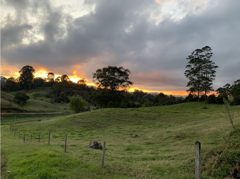 Lote para la Venta en Rionegro Sector Capiro - 4