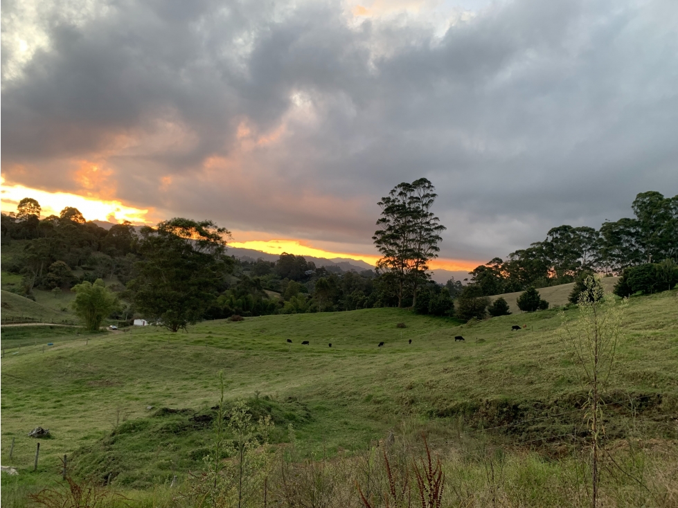Lote para la Venta en Rionegro Sector Capiro - 5