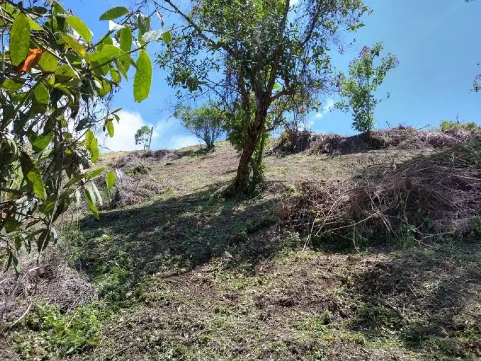 Lote Mixto para la Venta en Rionegro - 5
