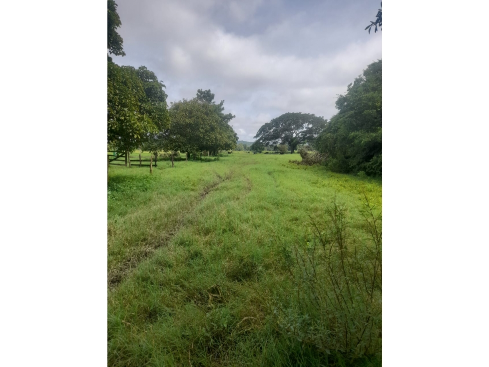 Finca en venta en Córdoba cerca de Montería - 4