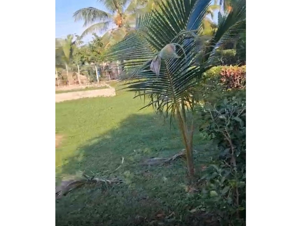 Venta de Lote en San Bernardo del Viento Córdoba - 4