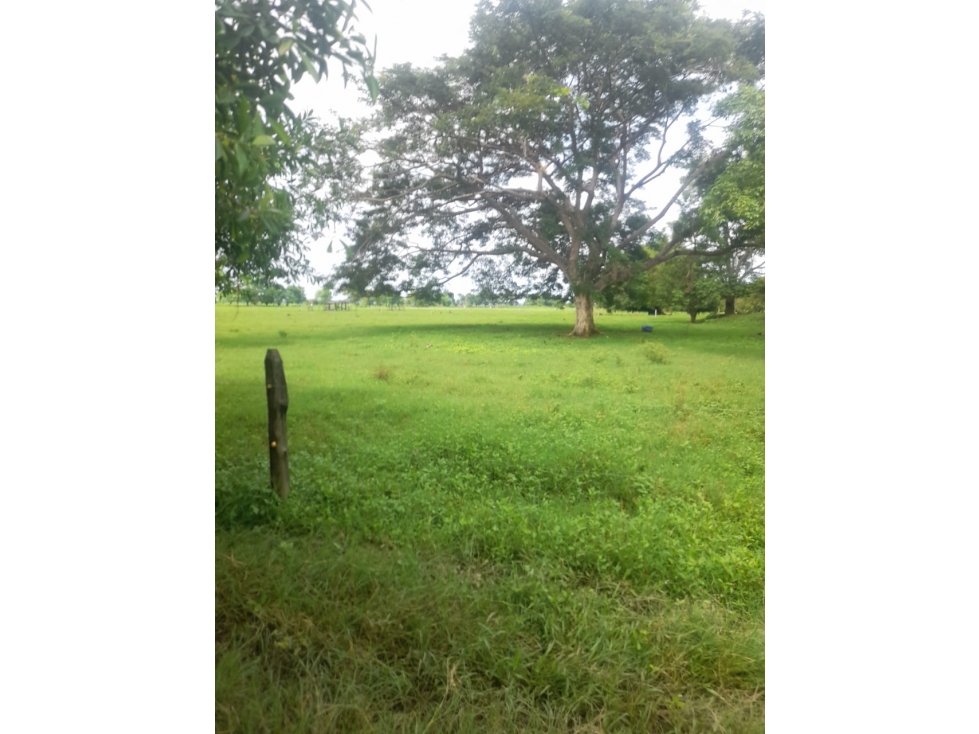 Finca en venta en Córdoba cerca de Montería - 5