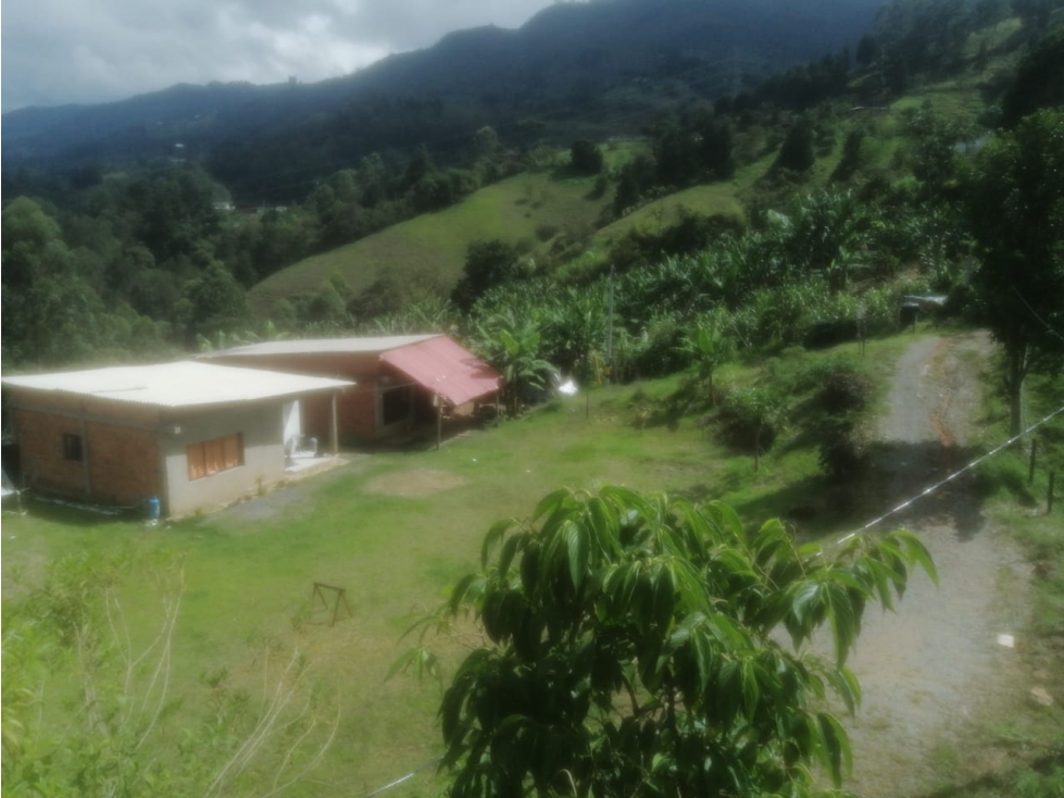 Lote — foto 3