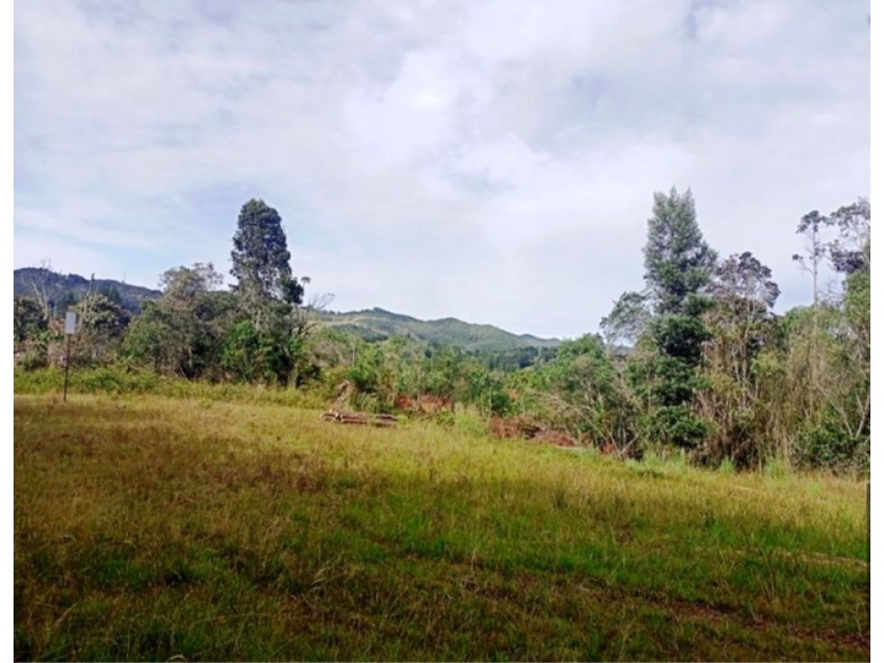 Lote para la venta en Envigado Altos del Escobero — foto 3