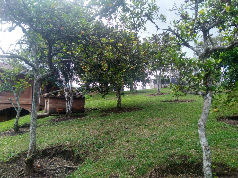 Venta de casa finca en Caldas La Clara