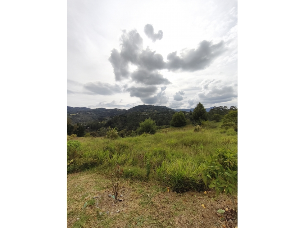 Venta de lote en Rionegro El Tablazo