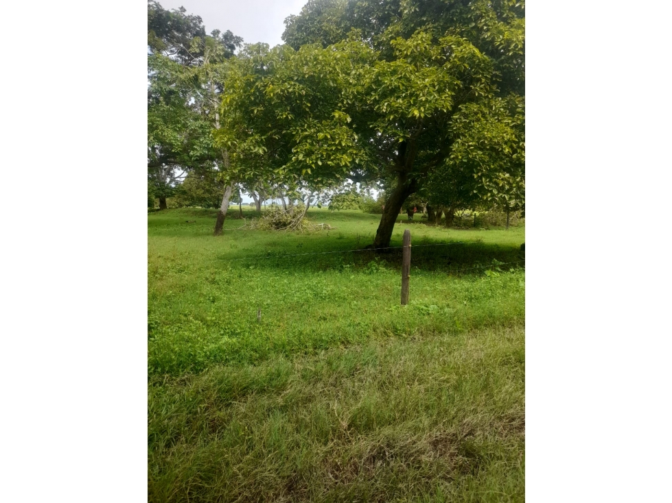 Finca en venta en Córdoba cerca de Montería - 6