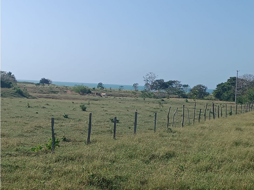 Finca en venta en Puerto Escondido Cordoba - 2