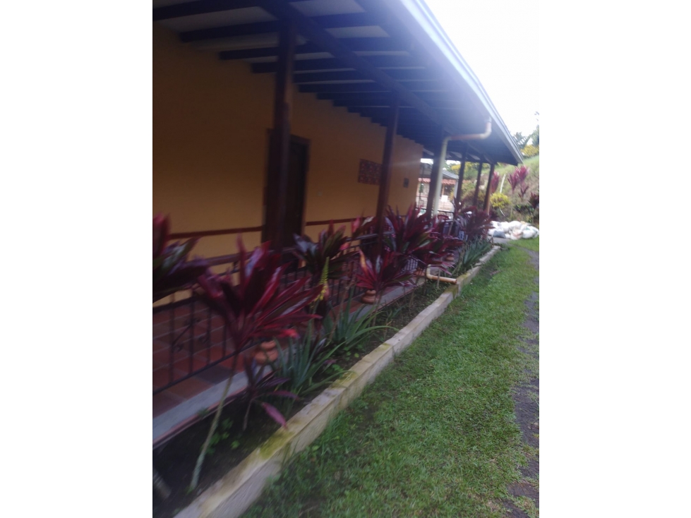 Casa Finca Para La Venta En Sonson. - 6