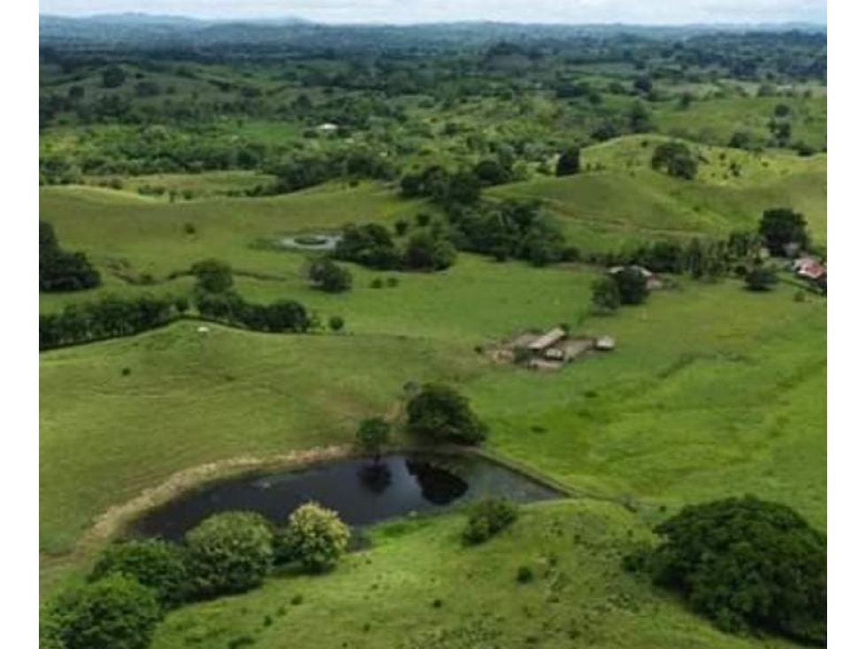 Finca en venta en Córdoba cerca de Montería - 5