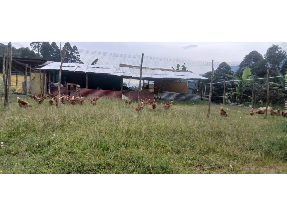 Lote — foto 6