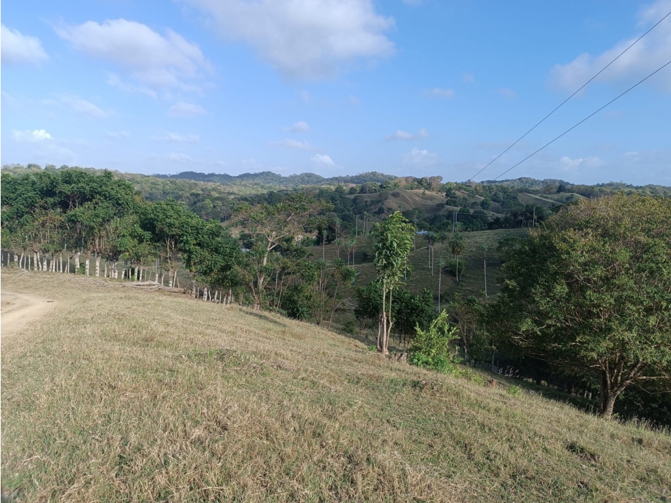Finca en venta en Puerto Escondido Cordoba - 5