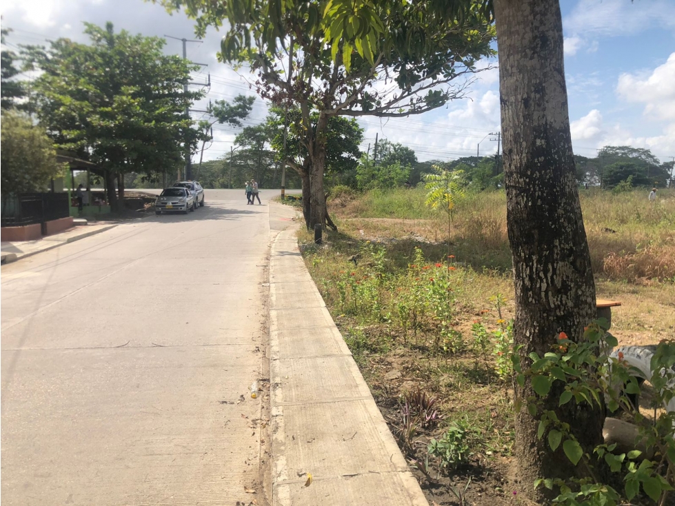 Lote para la venta en Monteria Cereté - 3