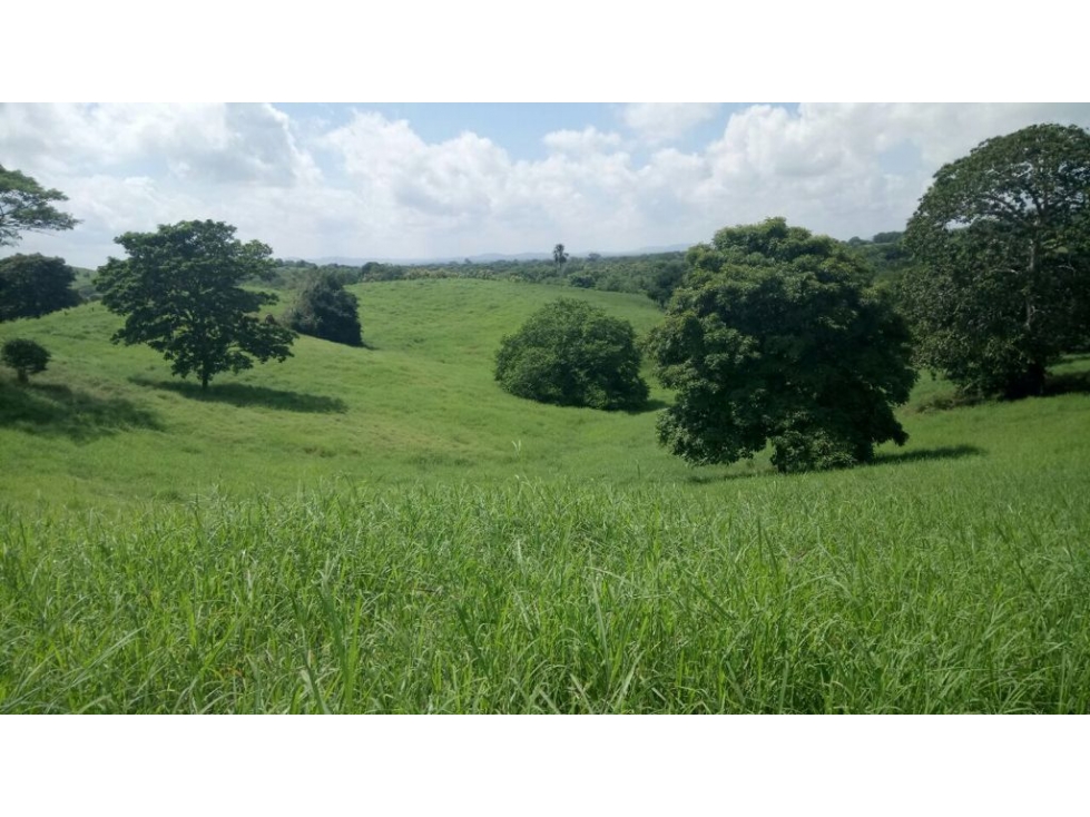 Finca en venta en Montería vía Arboletes